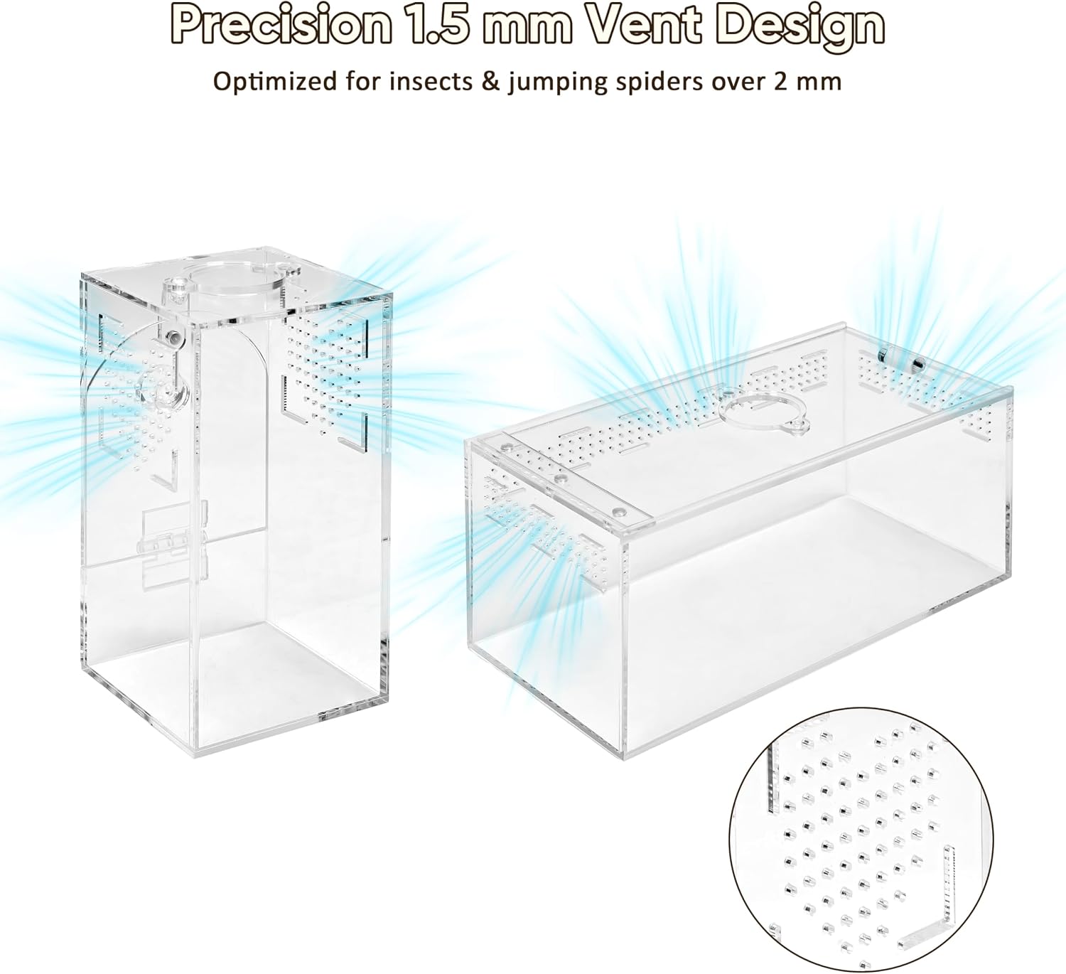 Jumping Spider Enclosure Set, Terrestrial Arboreal Combo, Acrylic Tarantula Terrarium, Praying Mantis Habitat, No Assembly, 2-Size Kit, Medium
