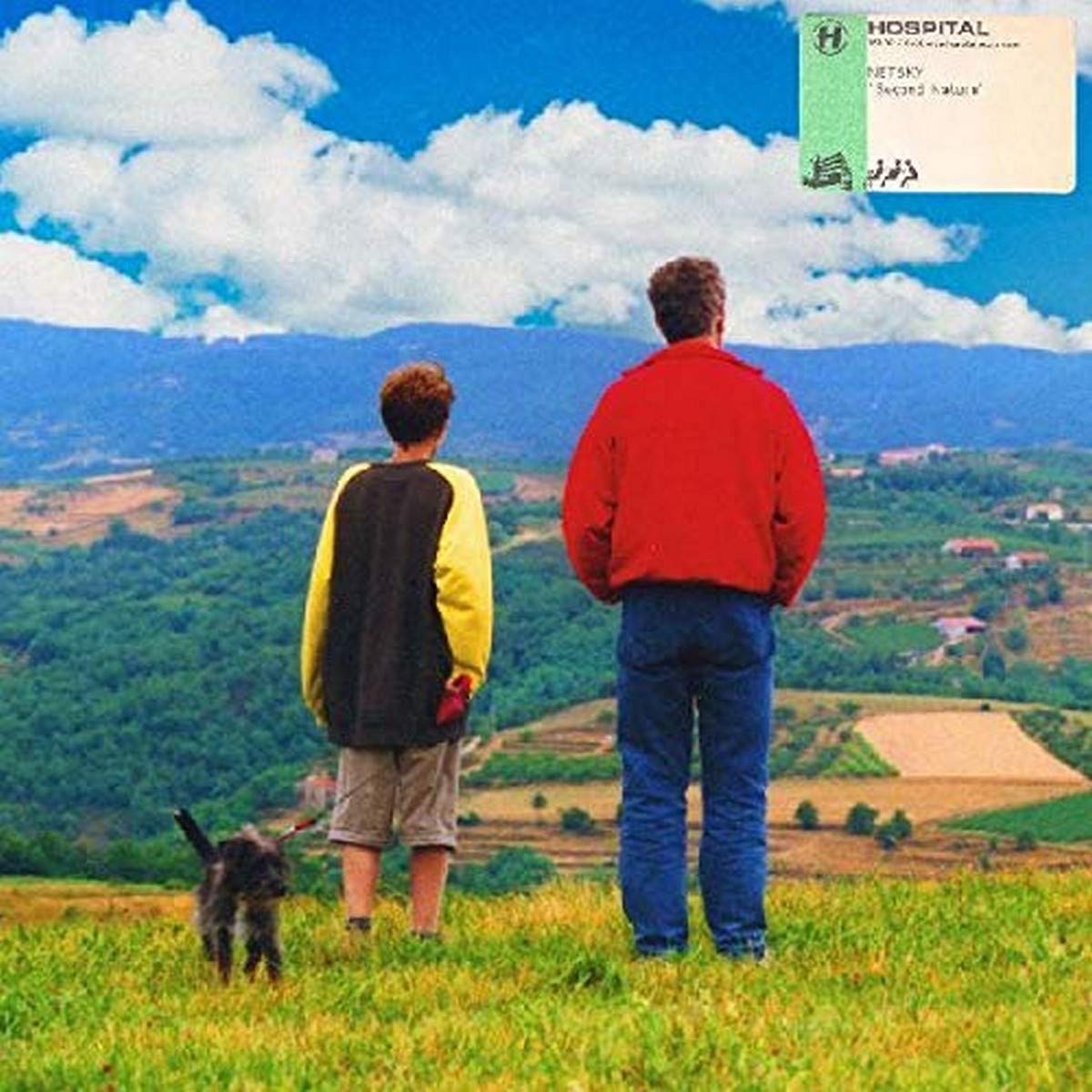 NETSKY - Second Nature - Vinyl (gatefold 3xLP)
