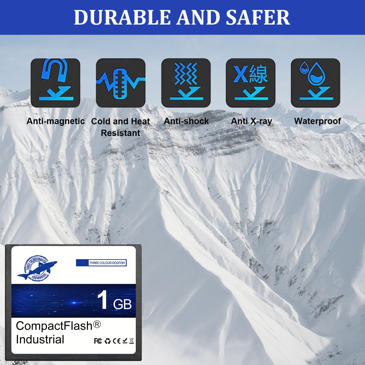 Dogfish Carte Mémoire Compact Flash 1Go 10PACK Type I pour Appareil Photo Numérique