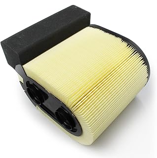 Air Filter Element Assembly Compatible with 2017 2018 2019 Ford F250 F350 F450 F550 Super Duty 6.7L V8 Powerstroke Diesel Engine Replace HC3Z-9601-A FA1927 PA8219