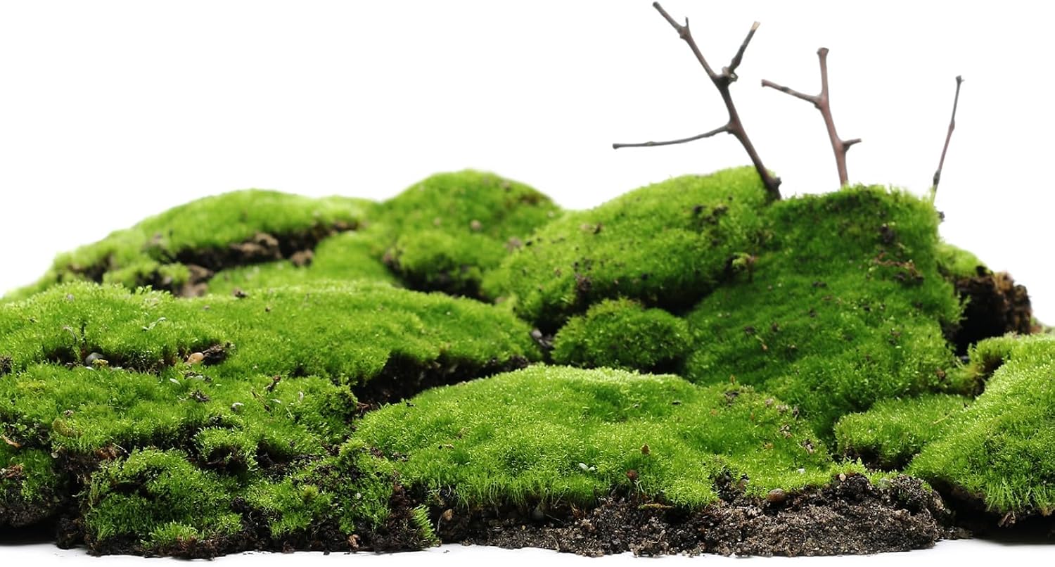 MECCANIXITY Static Grass, Nylon Artificial Grass Powder 3mm 2 x 30g Artificial Grass Fake Grass Tuft Model for Train Landscape Railway Sand Ground,White, Pack of 2