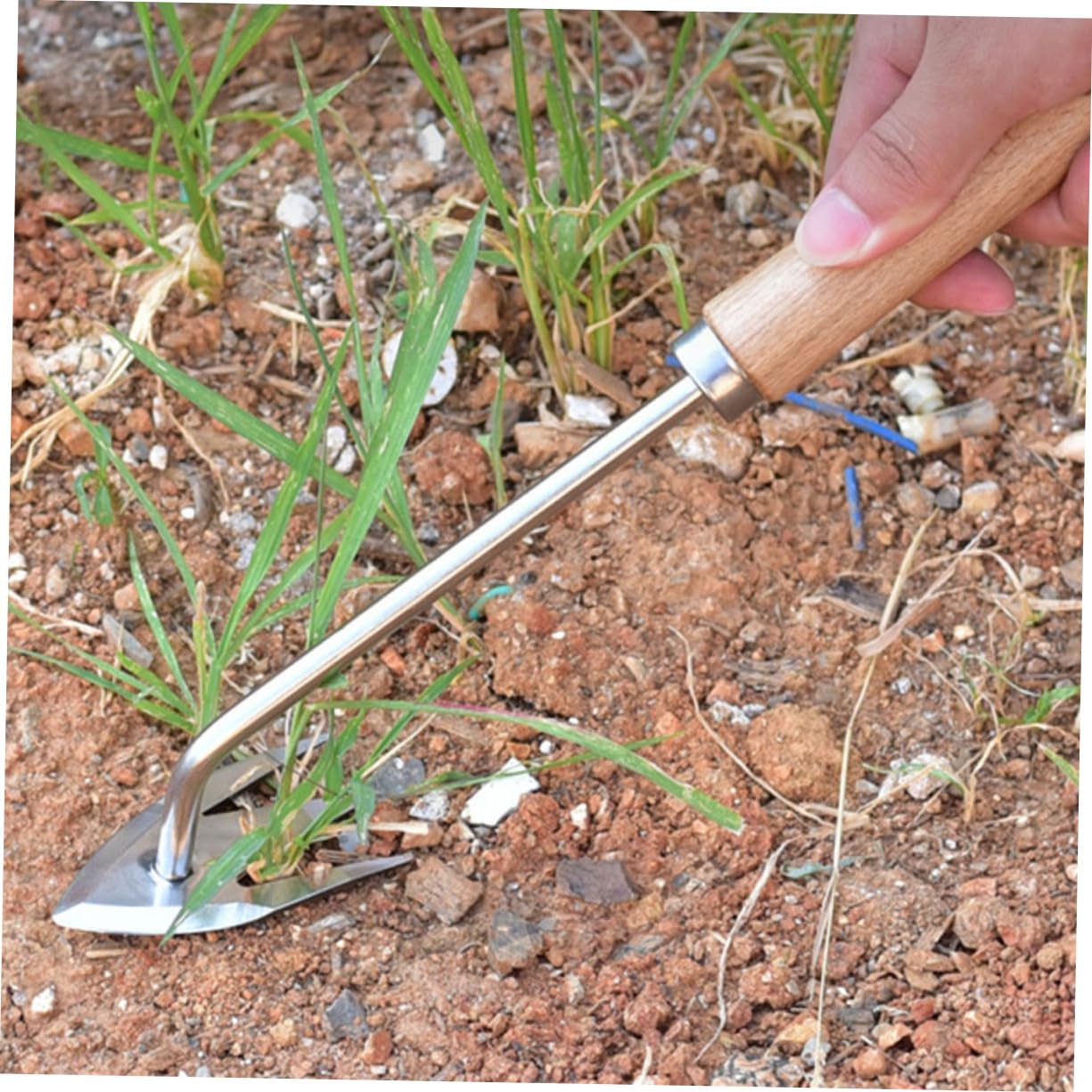 SUPVOX 4 Pezzi di Sarchiatore Manuale Strumento di Rimozione delle Radici Strumento di Diserbo Multifunzione per Giardino Canada