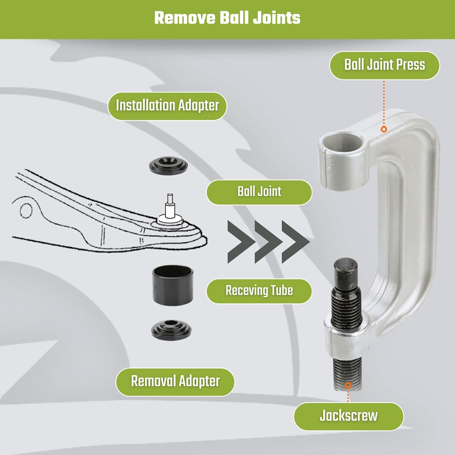 Reggiseno Minimizer Senza Ferretto Curve Muse - Taglie Forti D-G, Pizzo Ricamato, Comfort Massimo - Foto 8