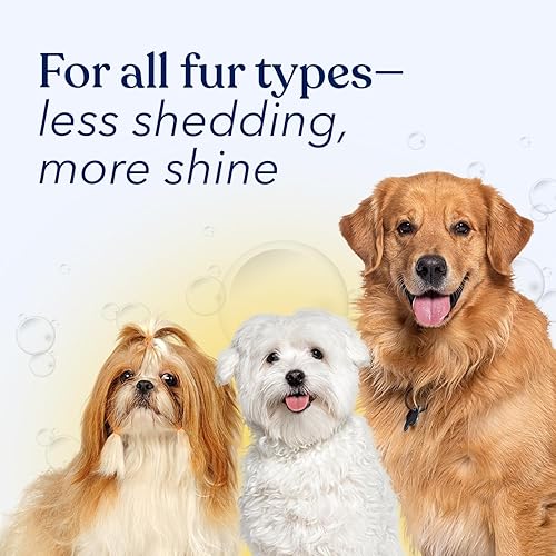 Miniatura 8 de Honest Paws Champú y acondicionador para perros, lavado prémium para perros para alergias y sequedad, picazón, hidratante para pieles sensibles, sin