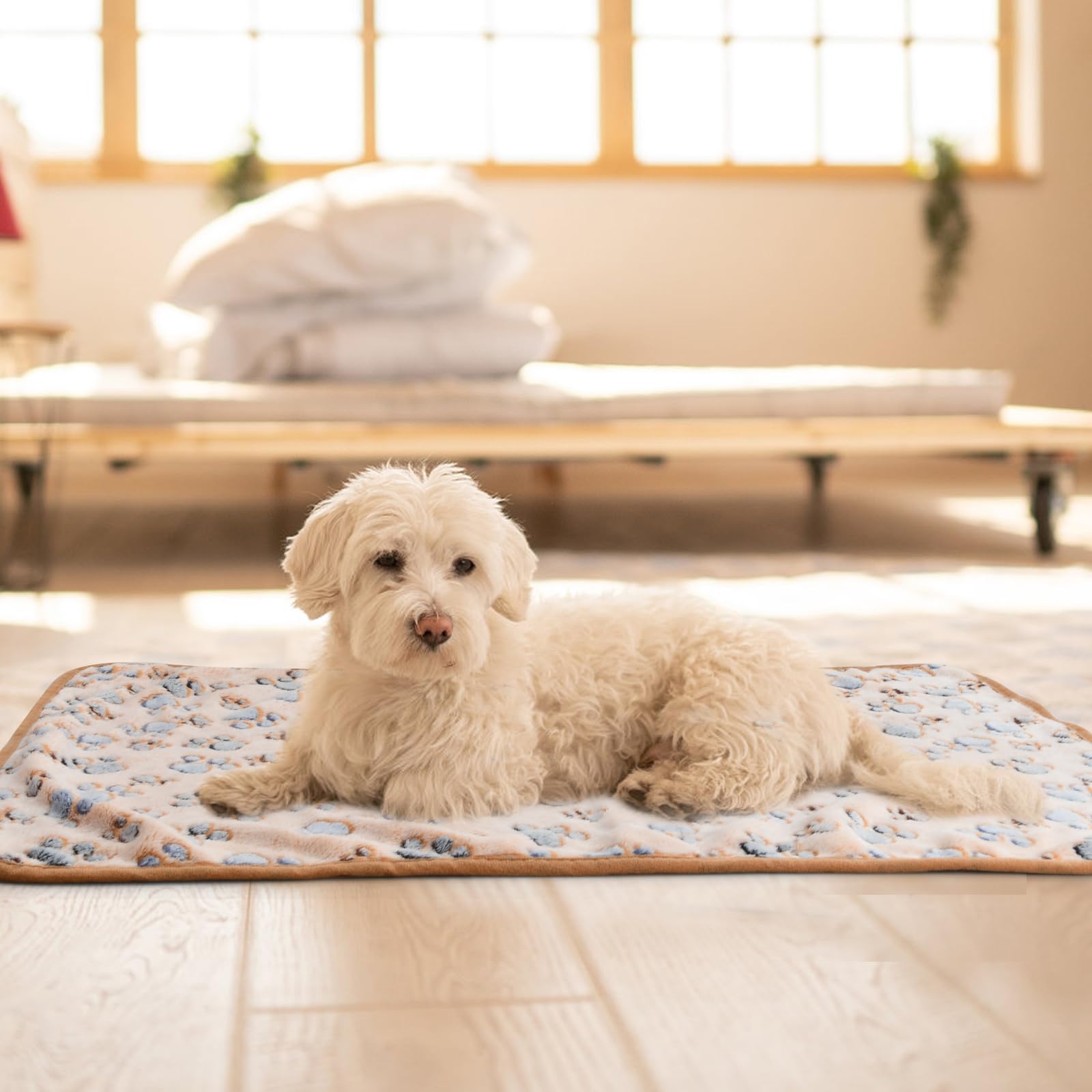 Couvertures pour Animaux 3Pcs, Couvertures pour Chien Chat Lavable, Couvertures pour Animal avec Imprimé Patte Couvertures en Flanelle Doux Chaud pour Petits Moyens Grand Chiots et Chatons, 52 x 76 cm