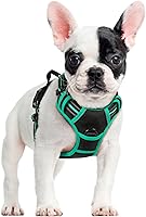 Vista 118 de rabbitgoo Arnés para perro, arnés sin tirones para mascotas con 2 clips para correa, chaleco acolchado suave ajustable para perro, chaleco Oxford