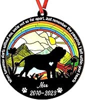 Vista 106 de Adorno de atrapasoles de setter irlandés personalizado, adorno de Navidad de Setter irlandés, regalo para perro amante, setter irlandés