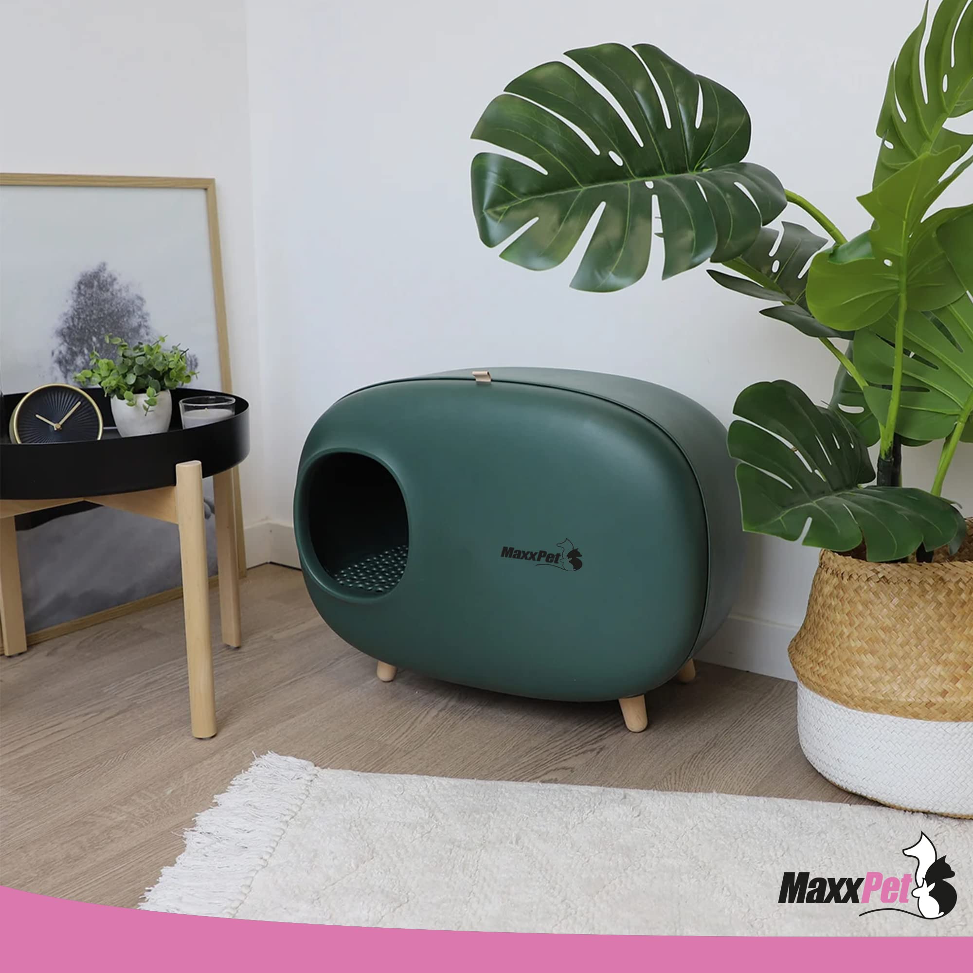 MaxxPet Bac à Litière Chat - Maison de Toilette pour Chat - Compartiment Inférieur Amovible pour Un Nettoyage Facile - 60x38x45cm - Vert
