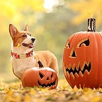 Vista 132 de Unique Style Paws - Collar rosa con hebilla de metal, duradero y lindo para perros pequeños a grandes