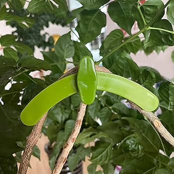植物 Amazon.co.jp: 誘引クリップ 植物サポート 固定クリップ 10個