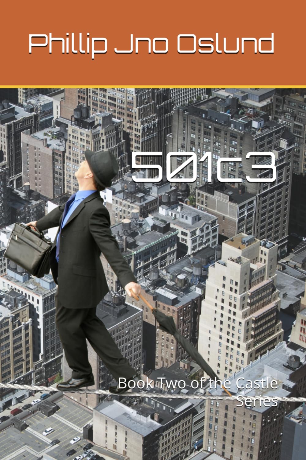 501c3: Book Two of the Castle Series