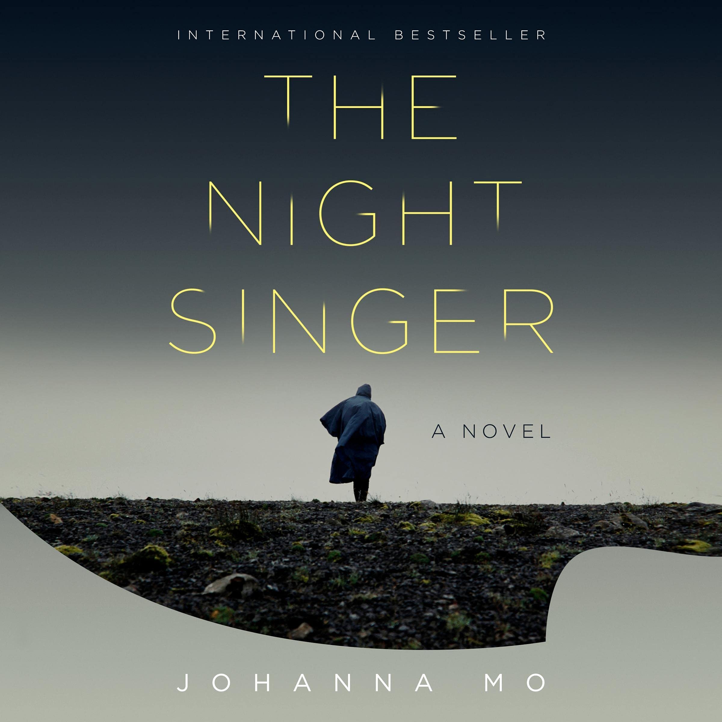 Cover art for The Night Singer