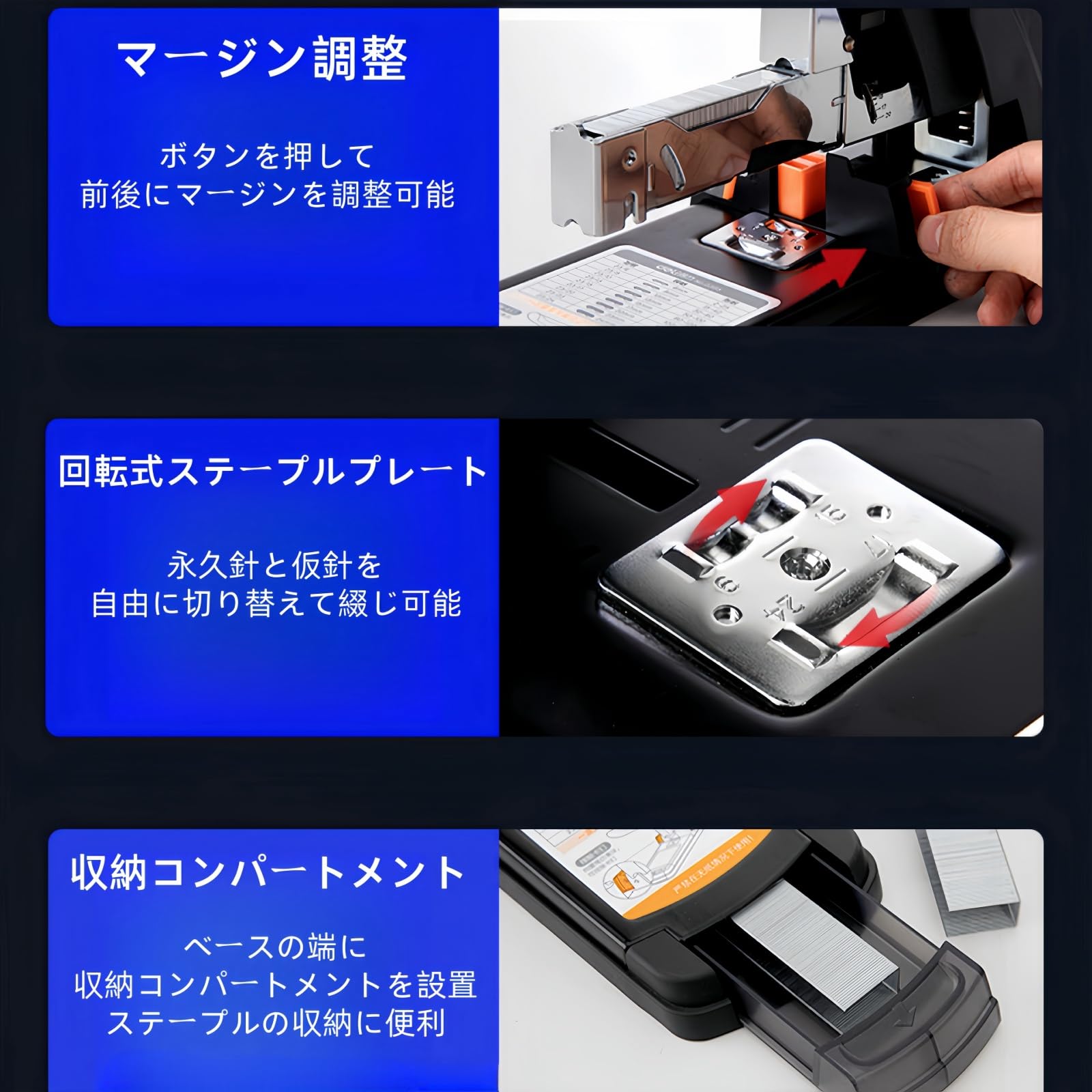 Max size 47cm+ 法螺貝 蓋付