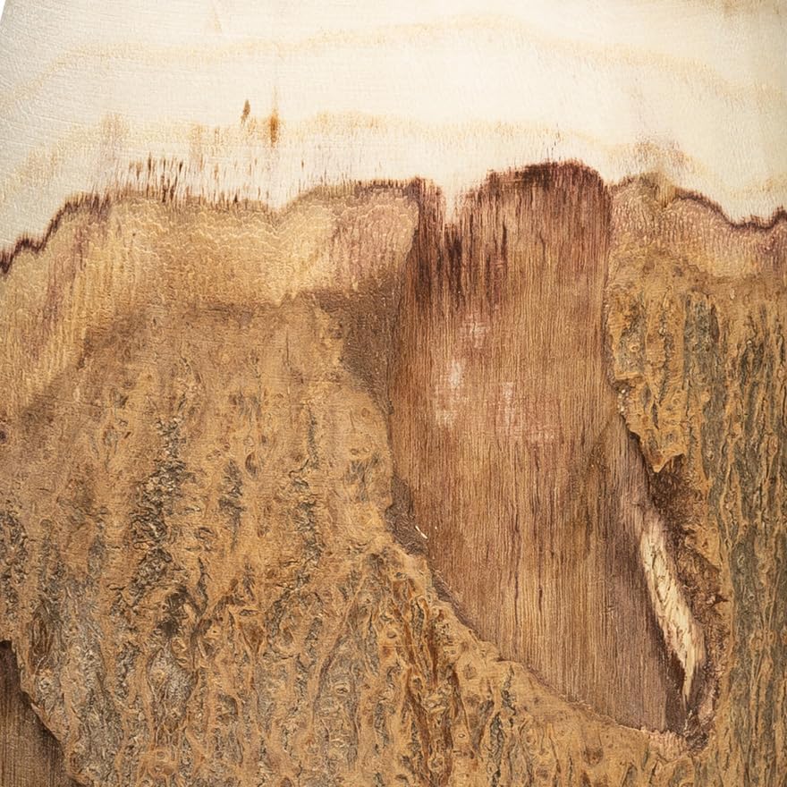 Miniatura 3 de Creative Co-Op Jarrón de madera de paulownia tallada de 13 pulgadas de alto con borde vivo (cada uno variará)