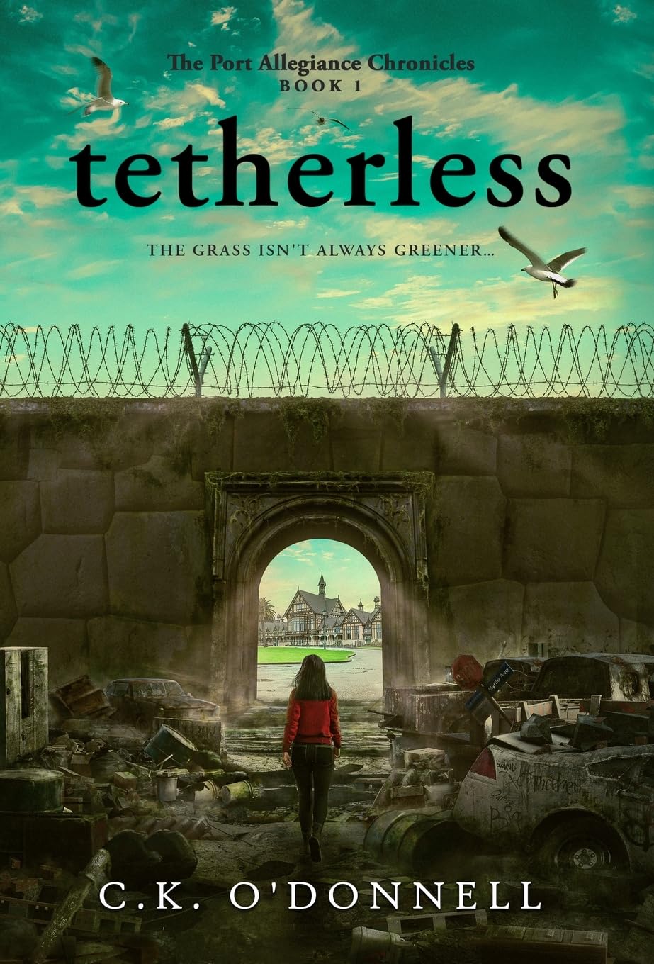 Buy Tetherless: 1 (The Port Allegiance Chronicles) — BookShops.in