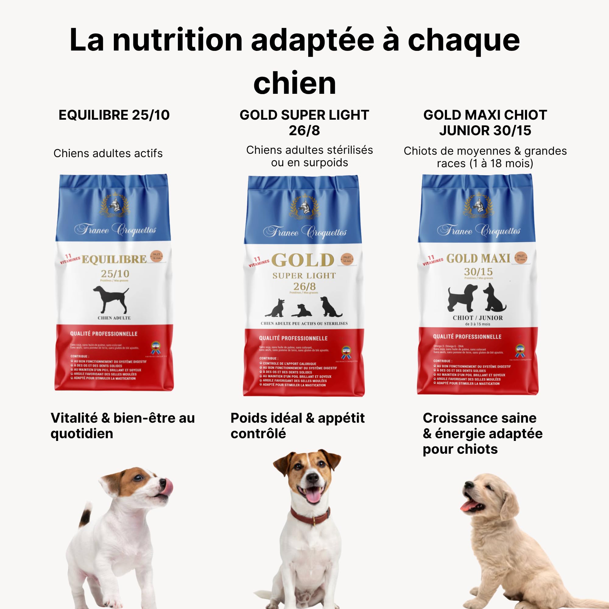 Croquettes hypoallergéniques Chien Adulte France Croquettes Royal Agneau – sans blé, hautement digestes, Riches en protéines, avec prébiotiques & probiotiques pour Flore intestinale Saine - 12KG
