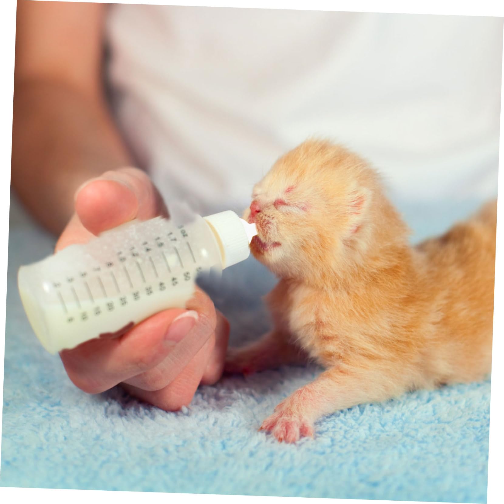 GRIRIW Pcs Kitten Feeding Nipples Silicone Kitten Bottle Nipples for Pet Milk Bottle Easy Install Feeding Tool