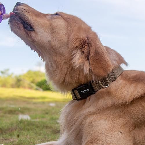 Miniatura 4 de Hyhug Pets Classic - Collar para perro con hebilla (pequeño, verde militar)