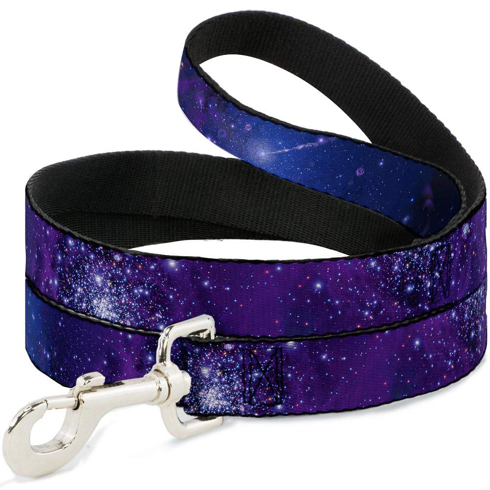 Buckle Down DL-6FT-W30753 Seatbelt Dog Collar, 6" Long-1" Wide