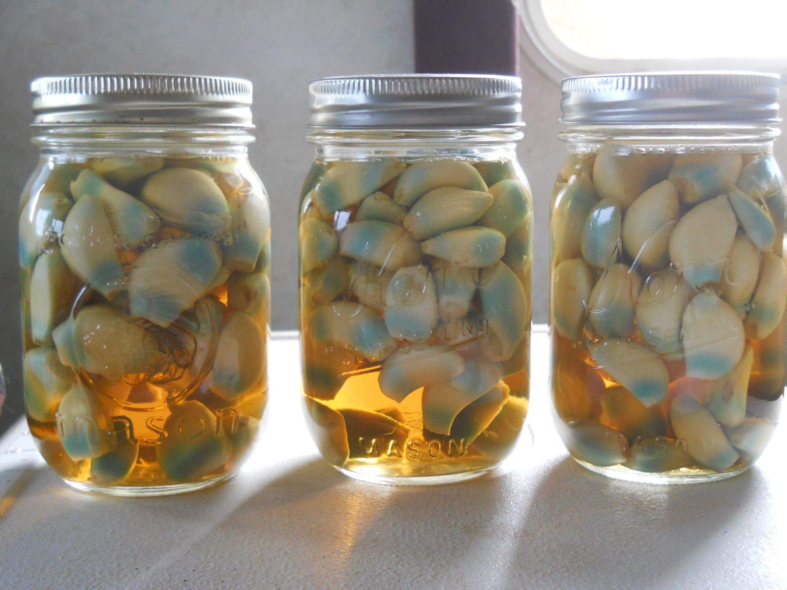 JEET BY KSHS Garlic In Vinegar(500Gms) (B081LF52BP) Amazon Price History, Amazon Price Tracker