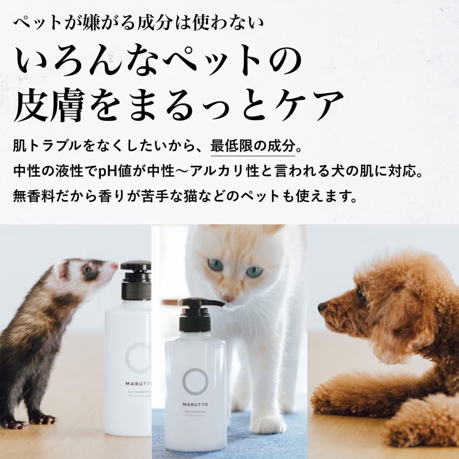 Forbis ショートコートアロエシャンプー 犬と猫用 750ml Forcans犬と猫用のショートコートシャンプー Forbis ショートコートアロエシャンプー 犬と猫用 750ml Forcans犬と猫用のショートコートシャンプー