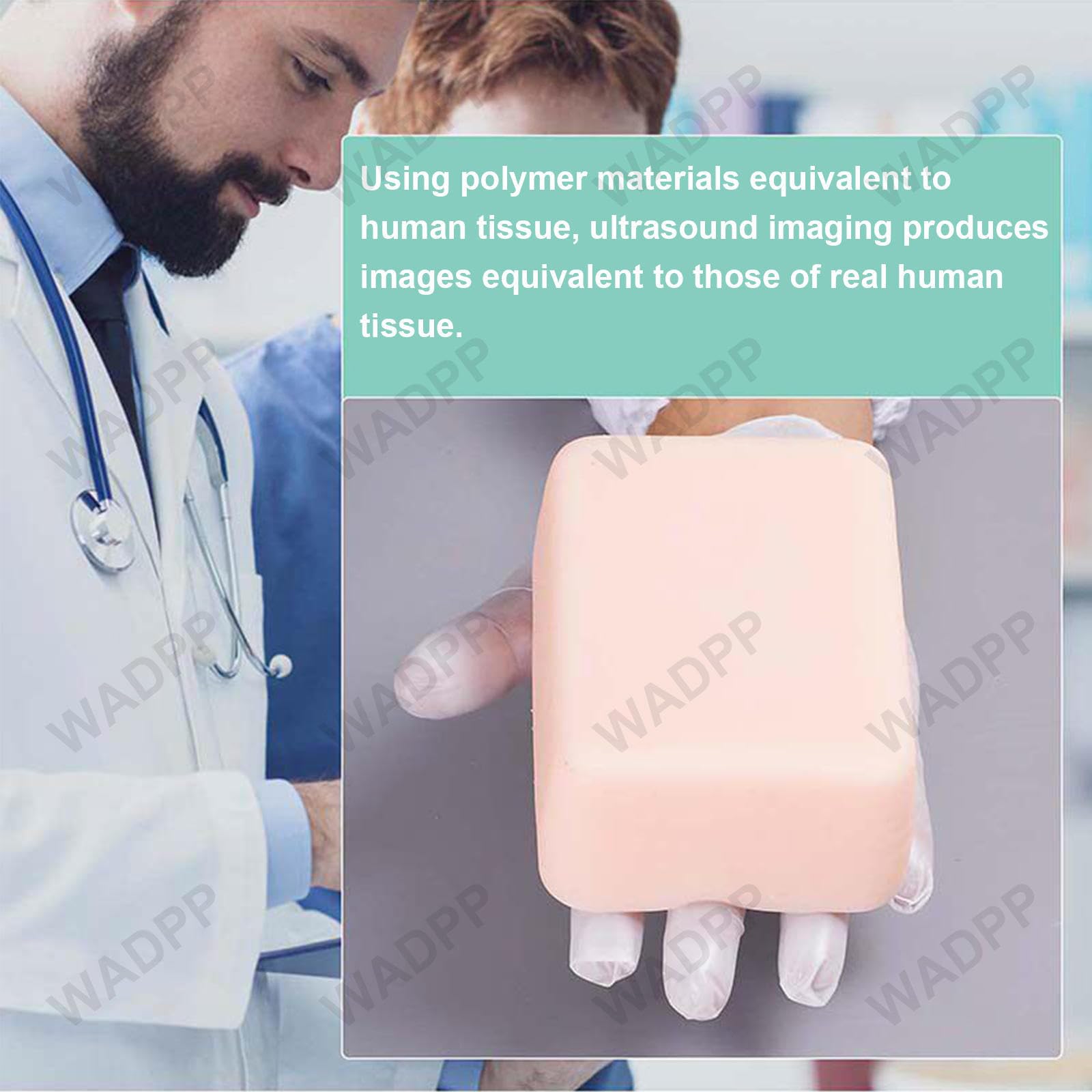WADPP Medyczny Model Tarczycy do Nauki Biopsji pod Kontrolą USG, Symulator Nakłucia Cienkoigłowego (FNA) Guzków i Węzłów Chłonnych, Trenażer do Ablacji i Diagnostyki Powierzchownej
