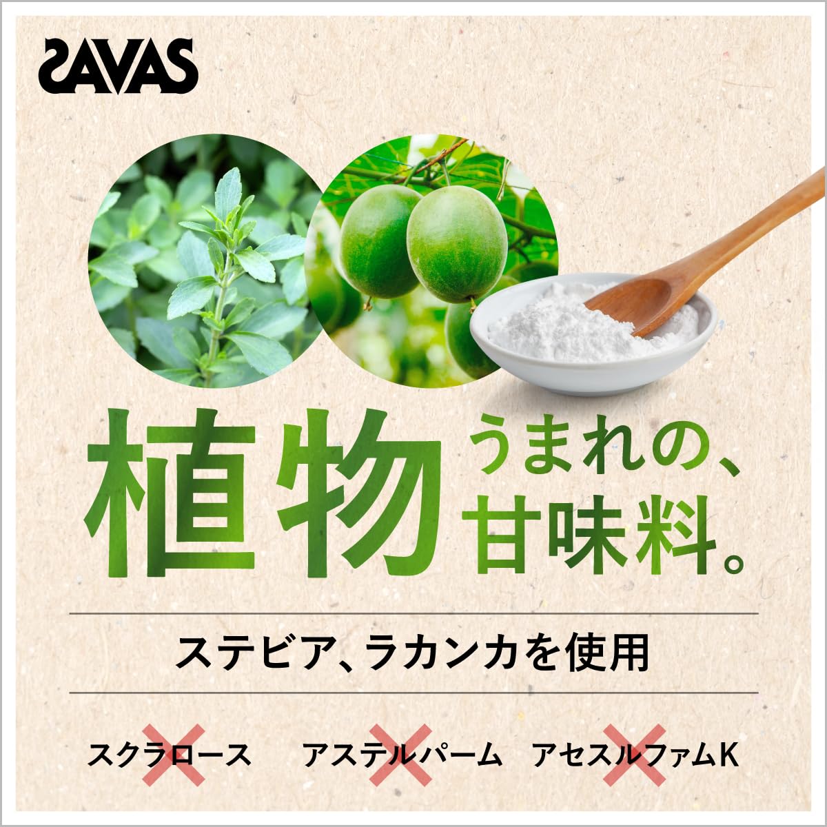 SAVAS ホエイプロテイン 100 ブルーベリー 450g 10袋 見ていただきたい 