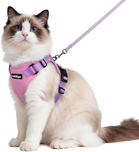 Miniatura 38 de rabbitgoo Cat Harness and Leash for Walking, Escape Proof Soft Adjustable Vest Harnesses for Cats, Easy Control Breathable Reflective Strips Jacket