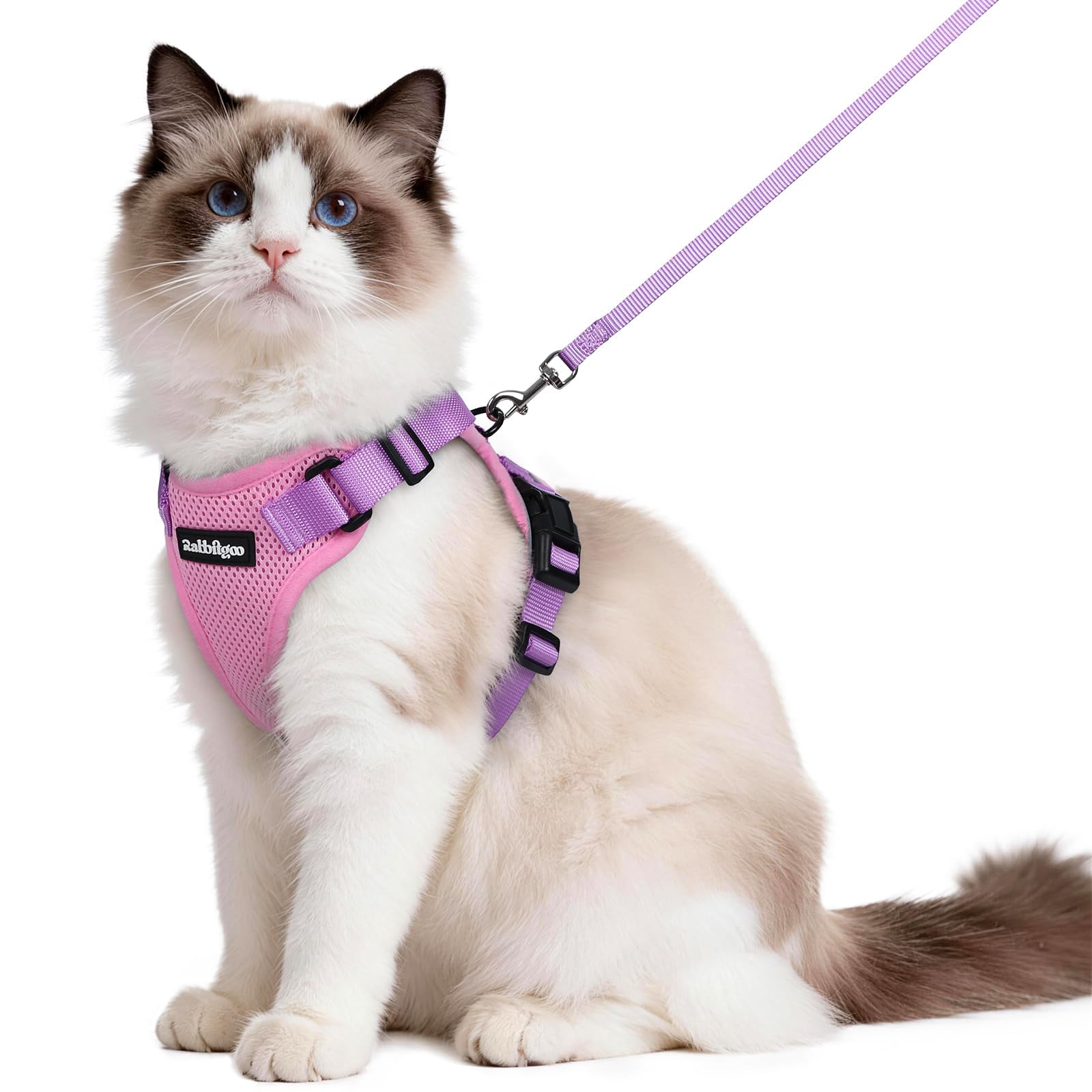 rabbitgoo Cat Harness and Lead Set, Adjustable Escape Proof Cat Lead for Walking, Reflective Kitten Harness Set, Soft and Comfortable for Medium to Large Cats, Pink & Purple, M