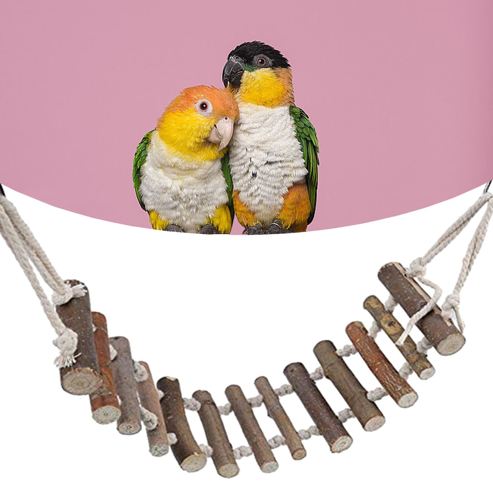 Amazon | GUOOL 鳥はしご ペット鳥ケージ アクセサリー 鳥吊り橋