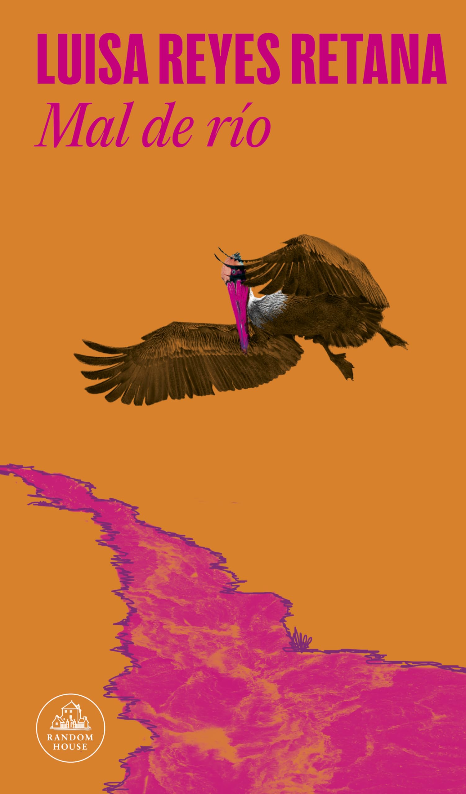 Mal de río / River Sickness (Spanish Edition)