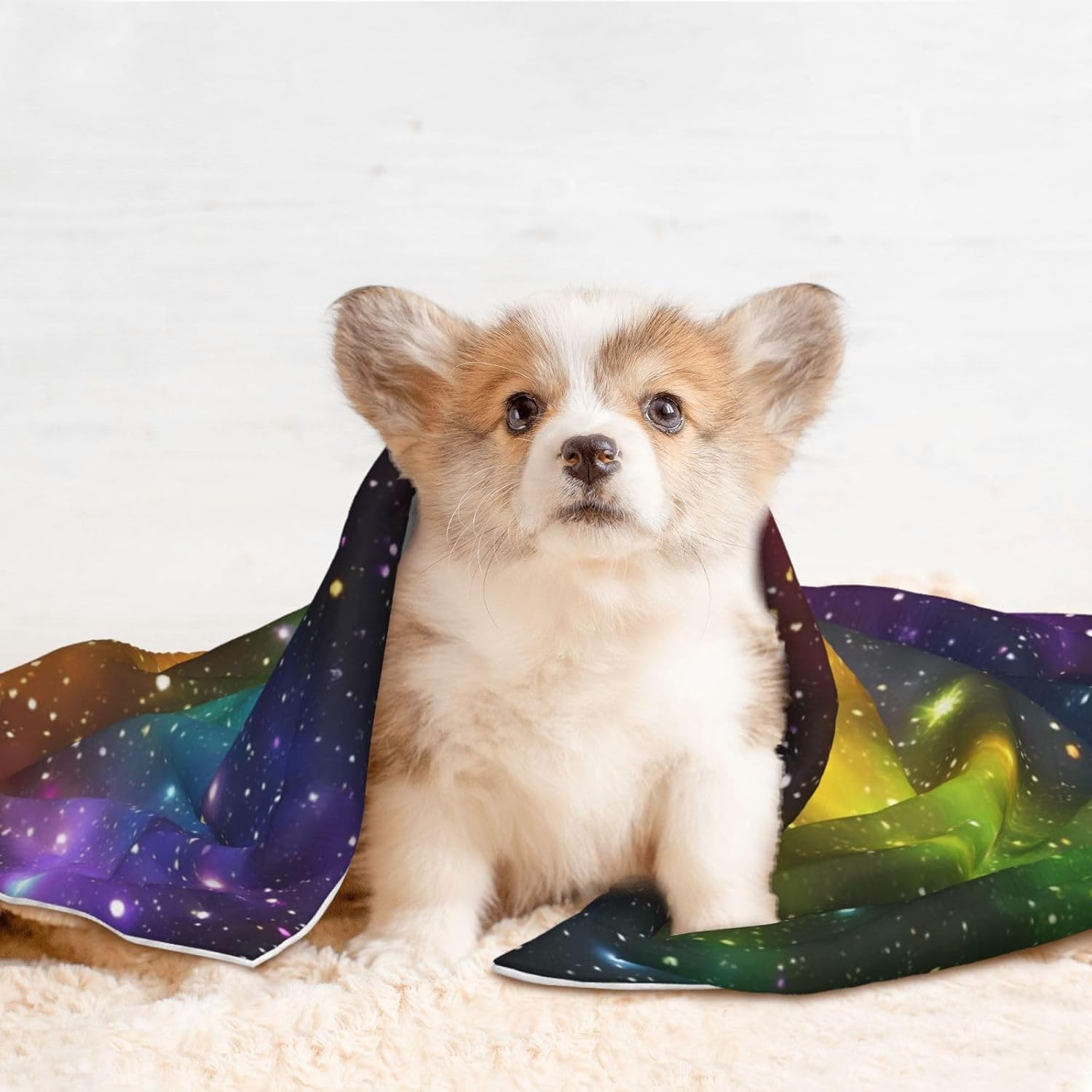 Bright Universe Print Soft Plush Pet Blanket, Washable Dog Blanket, Cat Fleece Throw, Puppy Bed Crate Mat & Sofa Couch Protector - Large