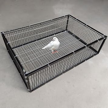 NEONMAN Pigeon Trap with Escape-Proof Design, One-Way Entry, Automatic Pigeon Collection, Chicken Cage and Bird Trap, Metal Welding, Portable, Easy Assembly Black, 24x24x10in/60x60x26cm