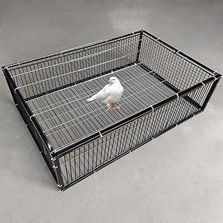 NEONMAN Pigeon Trap with Escape-Proof Design, One-Way Entry, Automatic Pigeon Collection, Chicken Cage and Bird Trap, Metal Welding, Portable, Easy Assembly (Black, 24x24x10in/60x60x26cm)