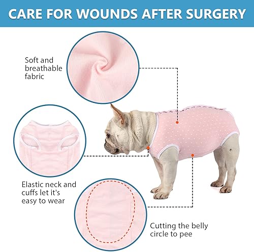 Miniatura 3 de Pañales para perros, mameluco de período para hembras, bragas sanitarias para perras, pañales térmicos para perros pequeños y medianos, puntos