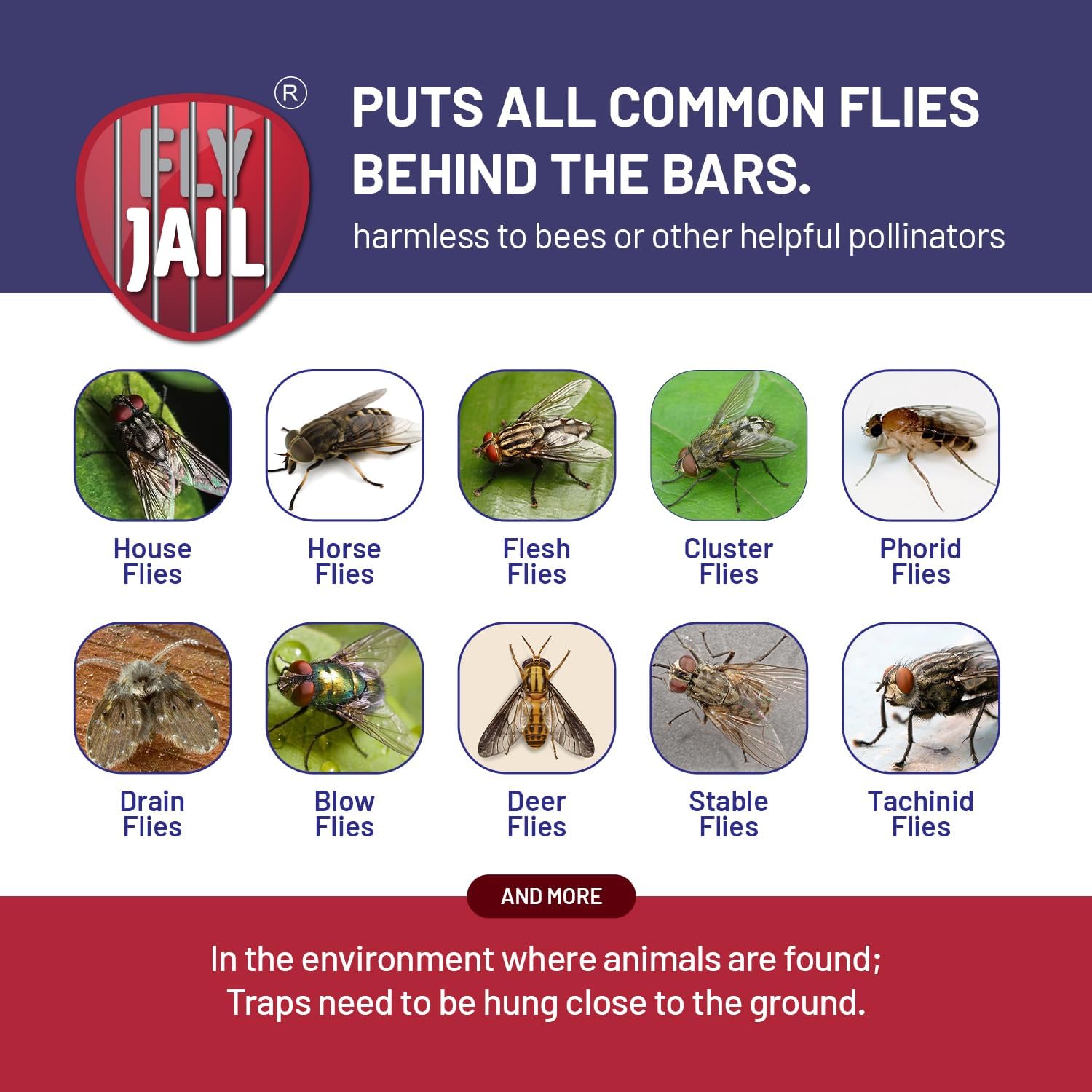 1 Fly Jail Large Bag - Outdoor Disposable Fly Trap | Pre-Baited with Flies Inn Attractant | Outdoor Fly Catcher; RECYCABLE (4 Pack, 1)