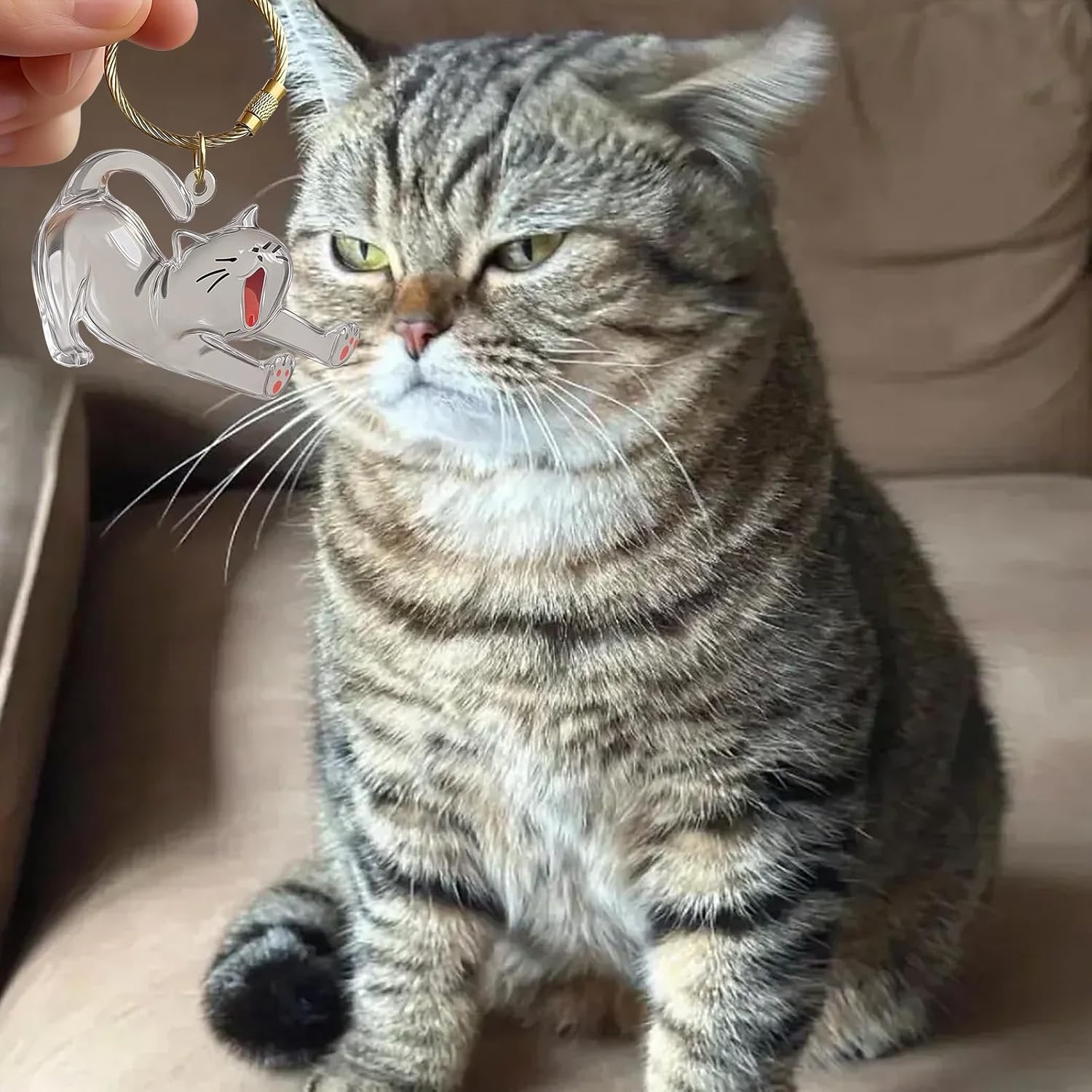 Clear Acrylic Cats Hair Collector with Cats Pendant Decoration Keychain Furs Container for Travel Friendly Shape Pet Memorial Box - Image 4