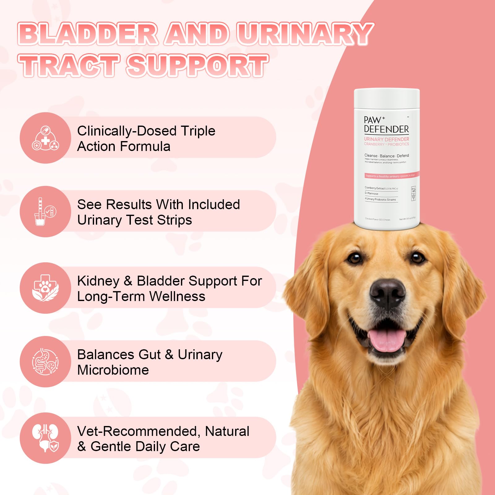 Dog UTI Treatment, Cranberry Supplement for Dogs,120 Chew,10 UTI Test Strip — Amazon image 3