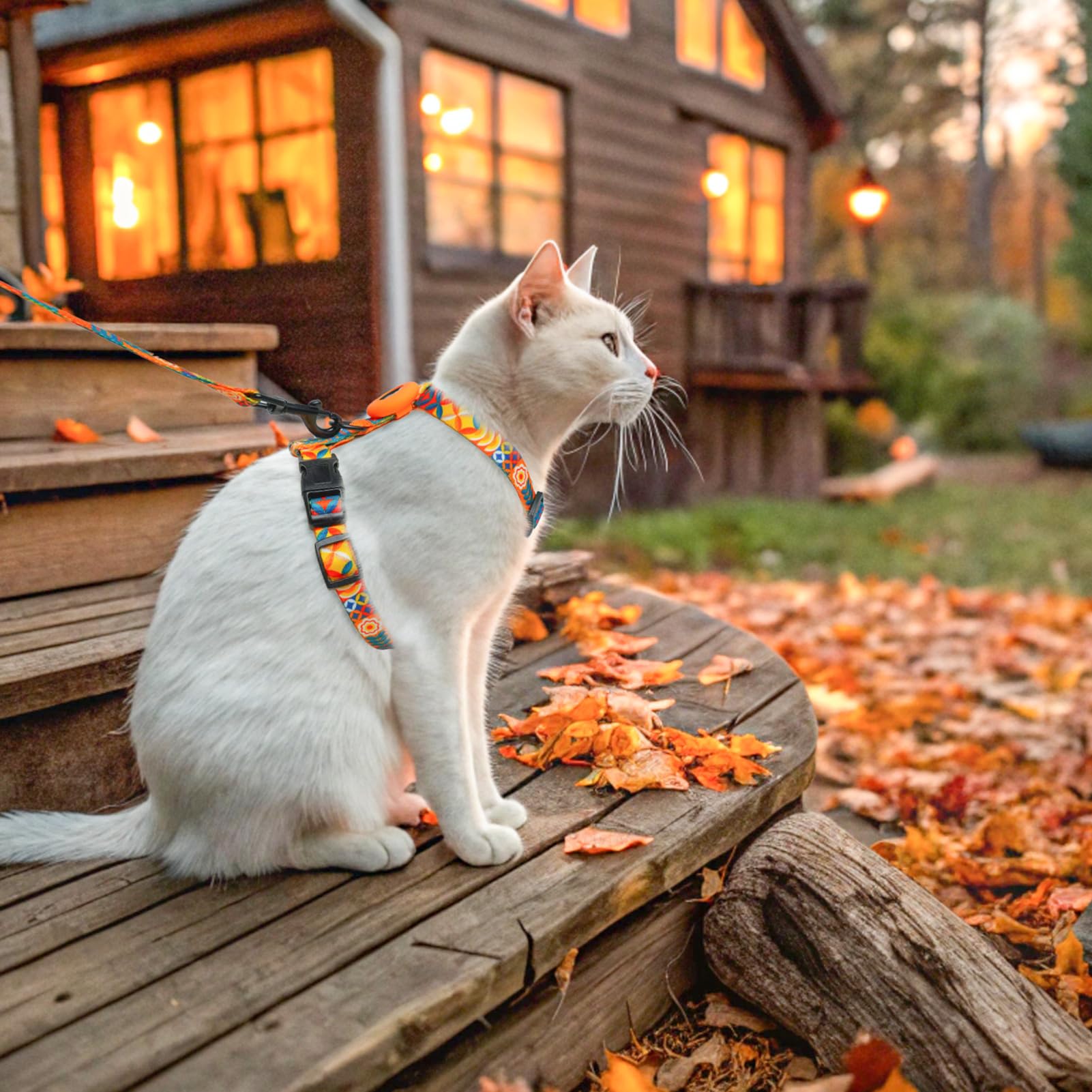 SCENEREAL Katzengeschirr und Leine, ausbruchsicher, mit Airtag-Halter, verstellbares Geschirr für Kätzchen, große Katzen, Weste, Geschirr für Spaziergänge, Outdoor, drinnen, Frühling, Sommer, Urlaub,