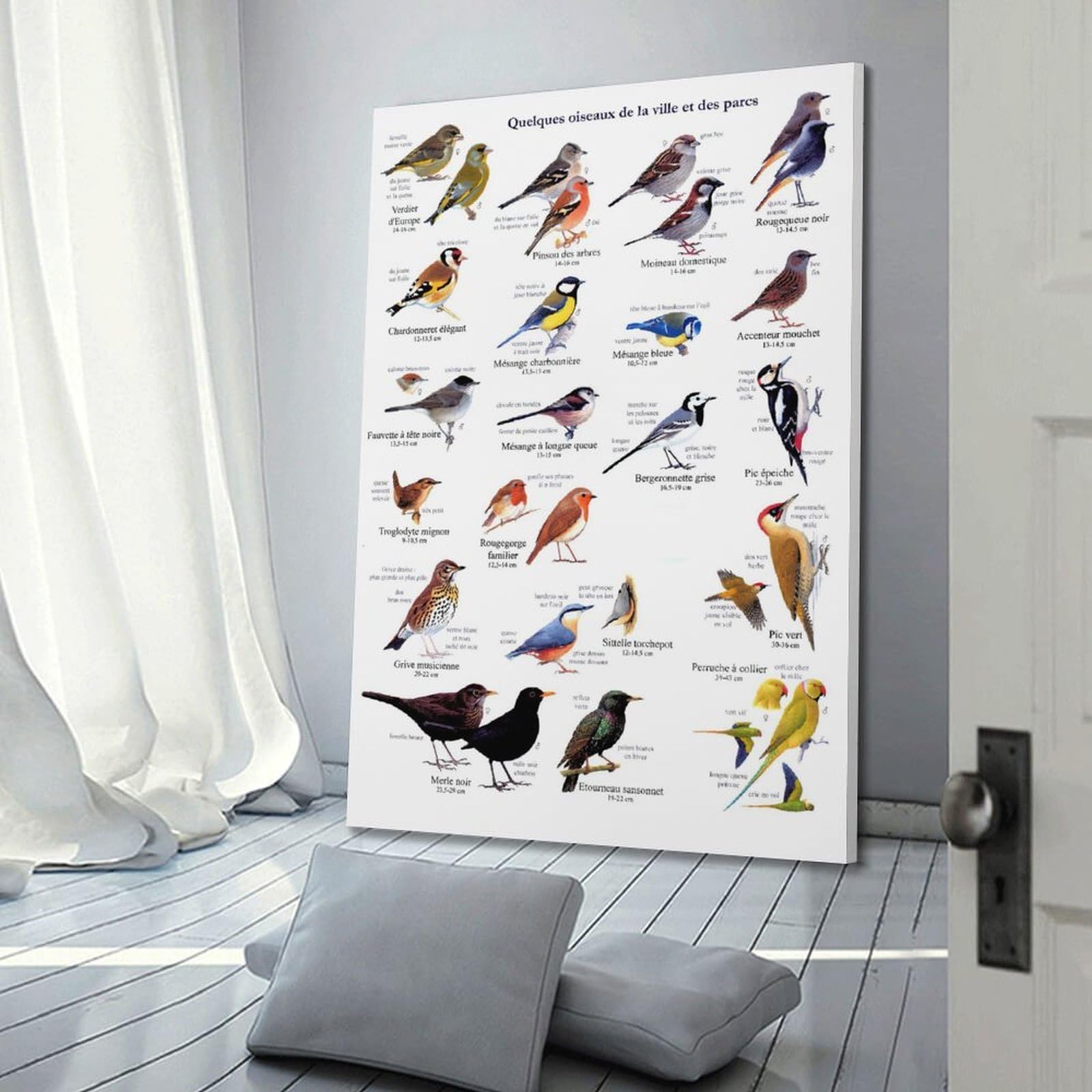 OKNGB Kinder-Zoologie-Pädagogisches Poster, Vogelführer-Poster, dekorative Malerei, Leinwand, Wandposter und Kunstdruck, moderne Familienschlafzimmer-Dekoration, Poster, 60 x 90 cm