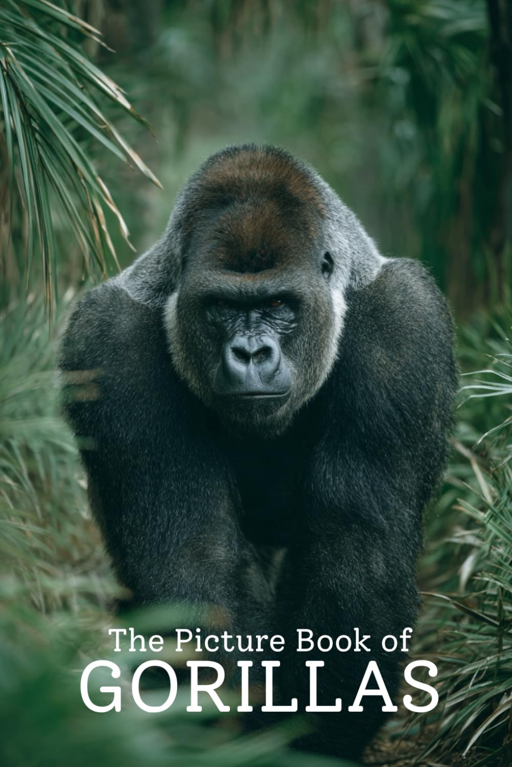 The Picture Book of Gorillas | Stunning Photo-Realistic Images of Powerful Gorillas: A Premium 6x9 Inch Picture Book Featuring Lifelike Gorilla Photography for Wildlife Lovers and Nature Enthusiasts