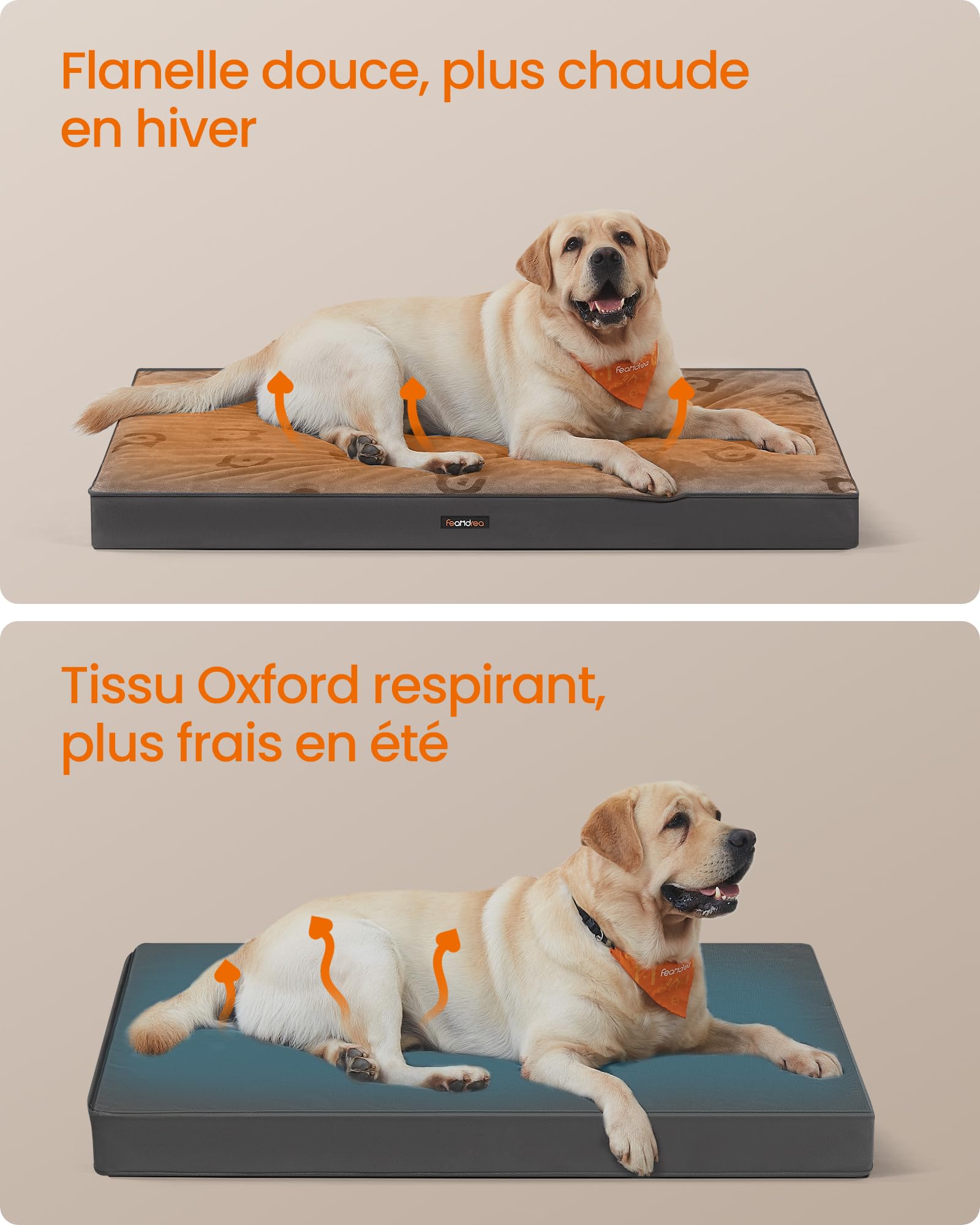 Feandrea Panier pour Chiens, Coussin pour Animaux, Mousse Alvéolée, avec Poignée, Déhoussable, Utilisable des 2 Côtés, Hydrofuge, Taille XXL, 120 x 74 x 8 cm, Gris Tourterelle PGW244G01