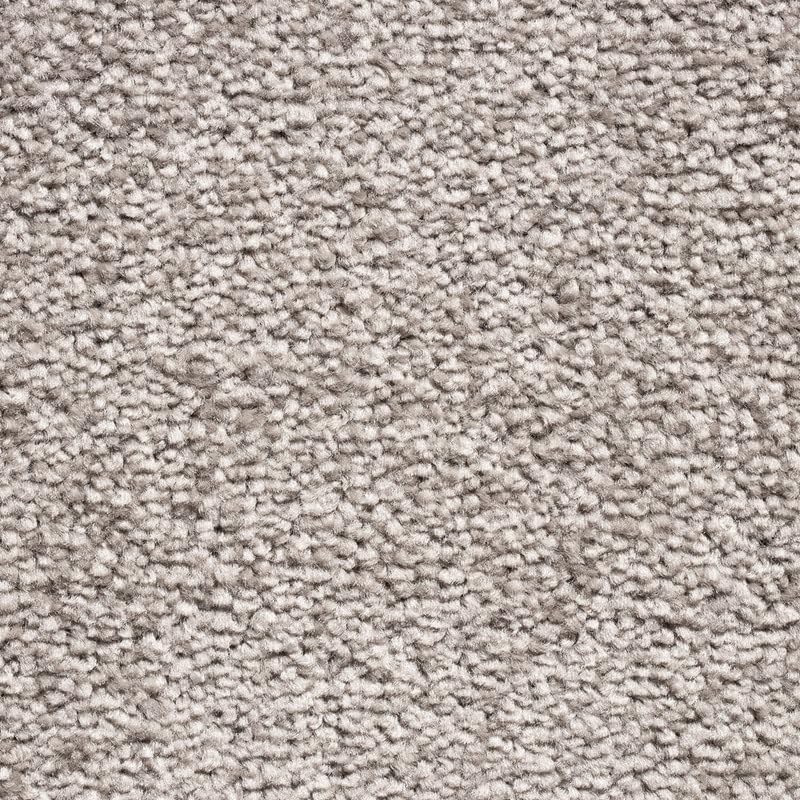 Tuda Carpet | Serene 10mm Pile Saxony Carpet with Action Backing, 12mm Total Height | Silver (276) - 4m x 4.5m (13ft1" x 14ft9") โ image 1