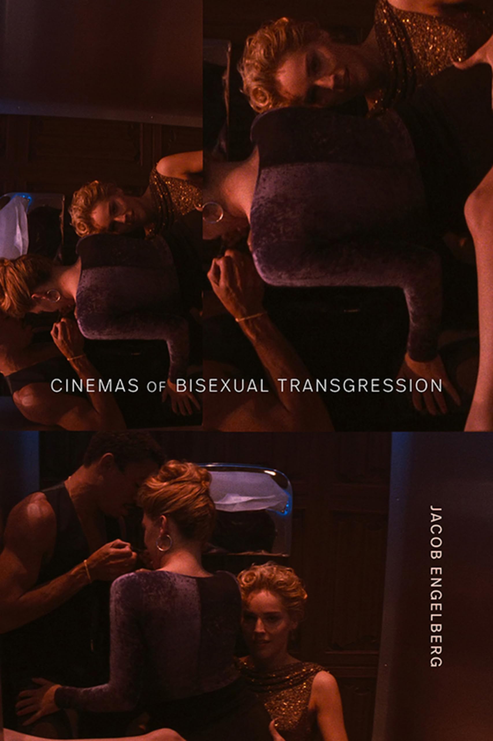 Cinemas of Bisexual Transgression livre universitaire art