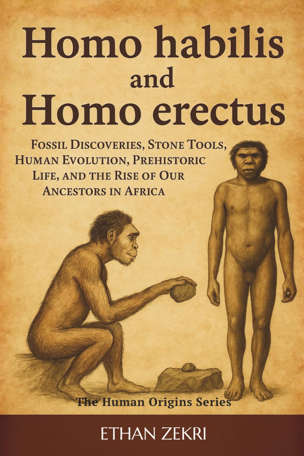 Homo Habilis and Homo Erectus: Fossil Discoveries, Stone Tools, Human Evolution, Prehistoric Life, and the Rise of Our Ancestors in Africa: 1 (The Human Origins Series)
