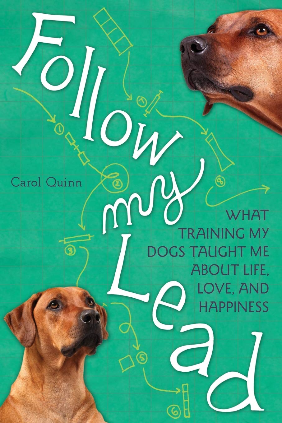 Buy Follow My Lead: What Training My Dogs Taught Me About Life, Love, And Happiness [Paperback] Quinn, Carol — BookShops.in