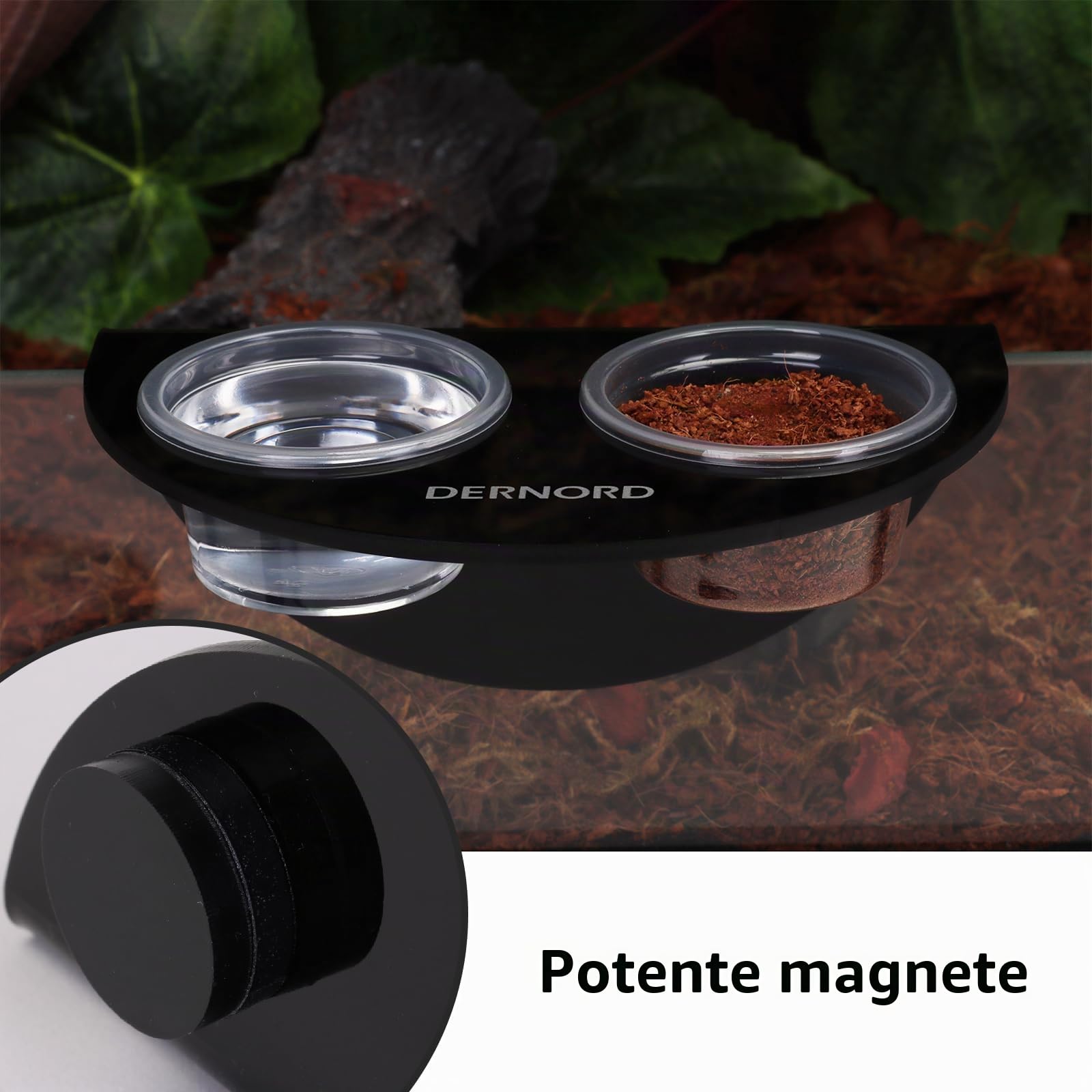 Gecko, ciotola magnetica con 6 ciotole in plastica, forte mangime magnetico per rettili, mangime per tartarughe, camaleonte