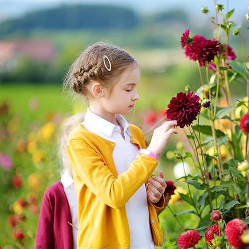 Miniatura 5 de Lawie Paquete de 100 pinzas de metal ovaladas de 2 pulgadas 2.0 in, horquillas plateadas, pinzas finas y finas, accesorios de bricolaje para mujeres