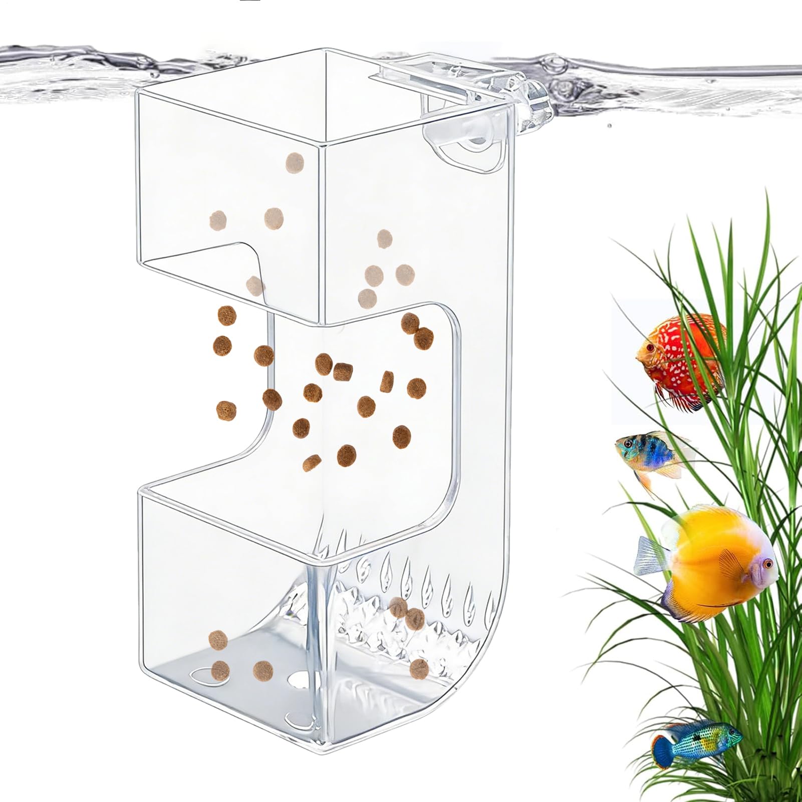 Bandeja de Alimentación para Acuario Prevención de Hundimiento y Dispersión