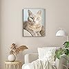 Product Photo 3